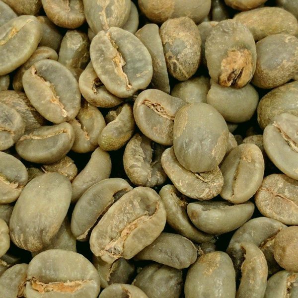 Java Estate Green Coffee Online Sale