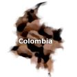 Colombian Peaberry Coffee For Sale