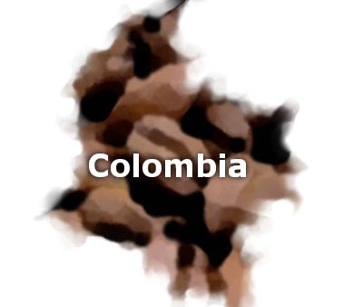 Colombian Peaberry Coffee For Sale