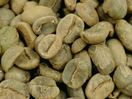 Mexican Fair Trade Organic Green Coffee Supply