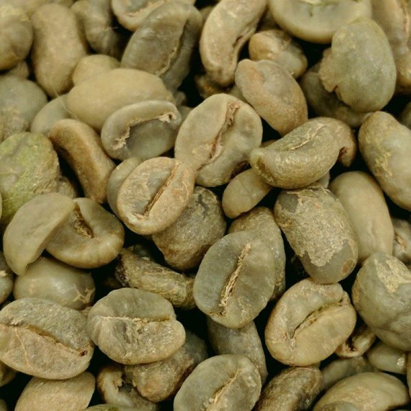 Mexican Fair Trade Organic Green Coffee Supply