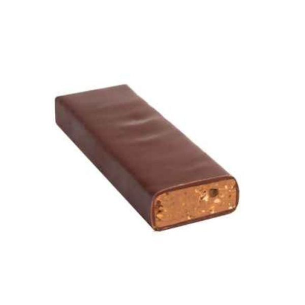 Zotter Organic Hazelnut Praline Austrian Chocolate 20g For Sale