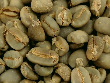 Santo Dominican Cibao Green Coffee Cheap