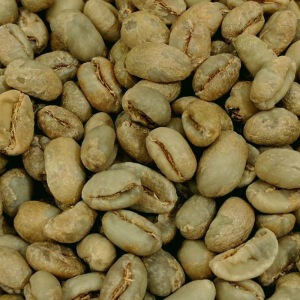 Laos Arabica DP Green Coffee Supply